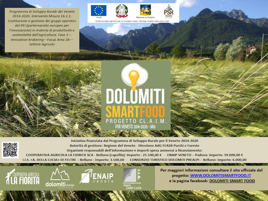 Dettagli finanziamento Dolomiti Smart Food