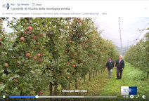 Video sulle mele del territorio